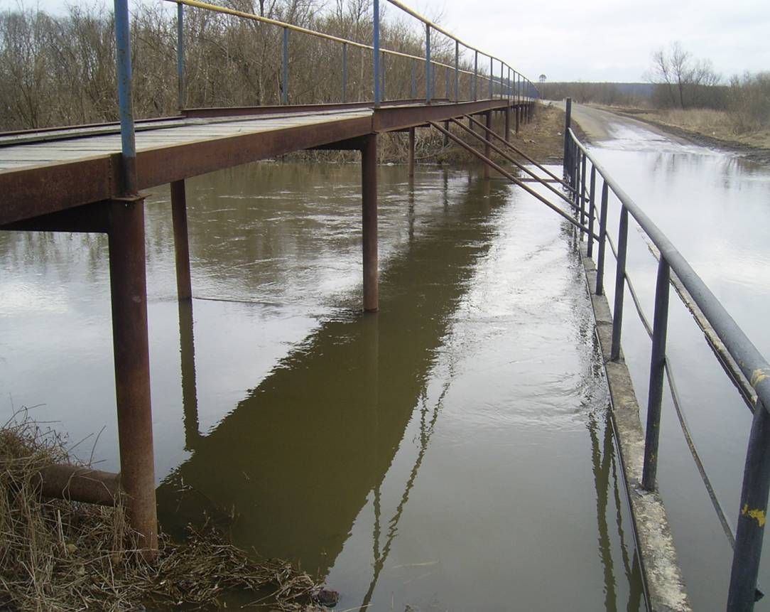 мост затопило паводок