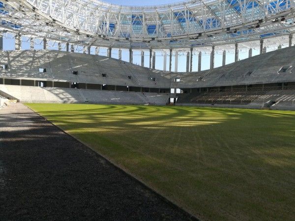 Стадион НН трава