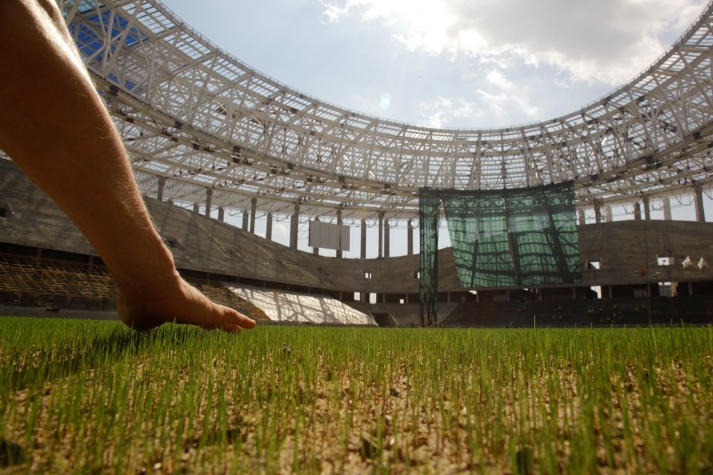 стадион газон фото Юрий Правдин 2