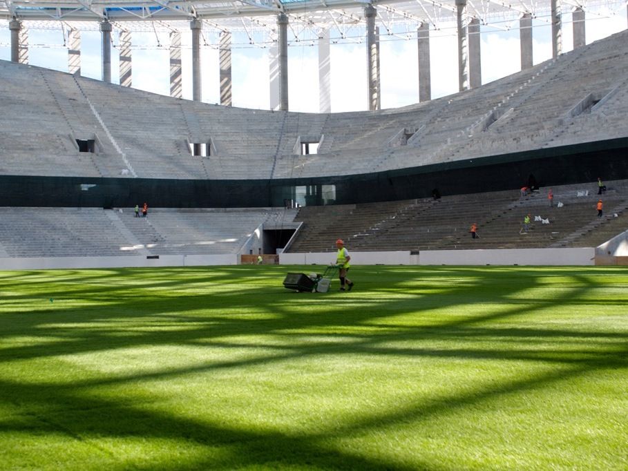 стадион газон фото Ярослав Гунин (7)