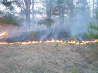 Лесной пожар Лысково