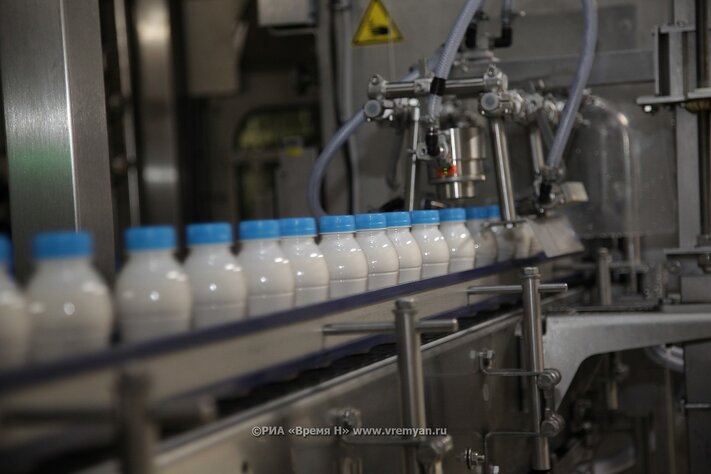 Производство молока в Нижегородской области увеличилось на 7,9 тысяч тонн