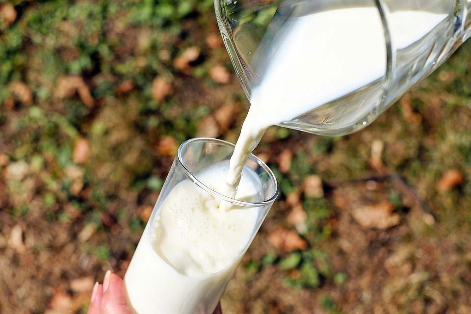 Горячая линия по качеству молочной продукции работает в Управлении Роспотребнадзора