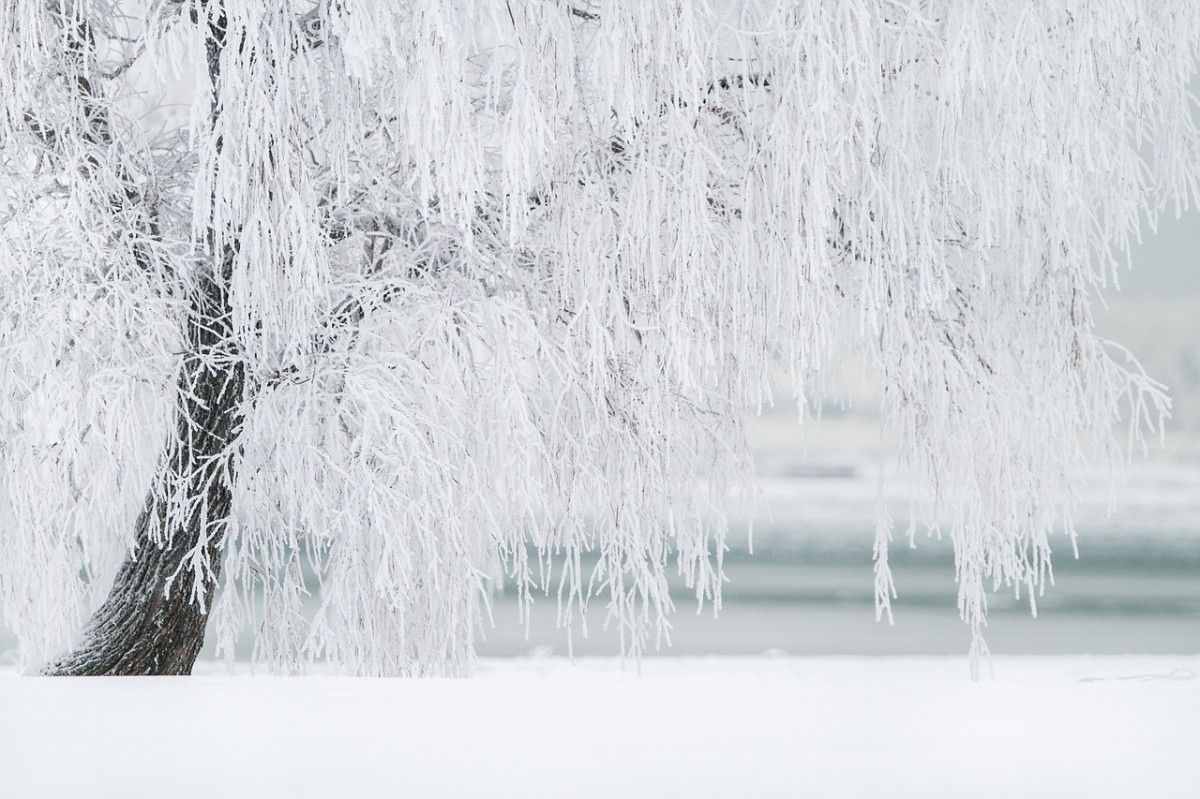 Резкое похолодание ждет нижегородцев: столбики термометров опустятся до -20°C 6 февраля