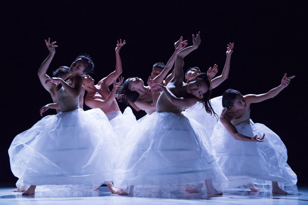 Ансамбль B. DANCE из Тайваня покажет балет в Нижнем Новгороде
