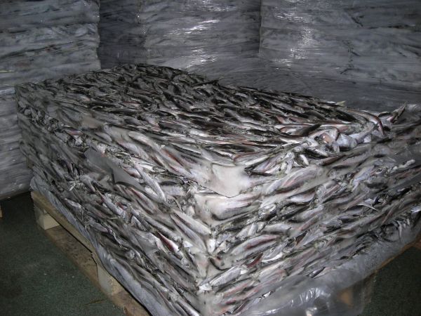 Партию рыбы в 150 тонн «арестовали» в Нижнем Новгороде