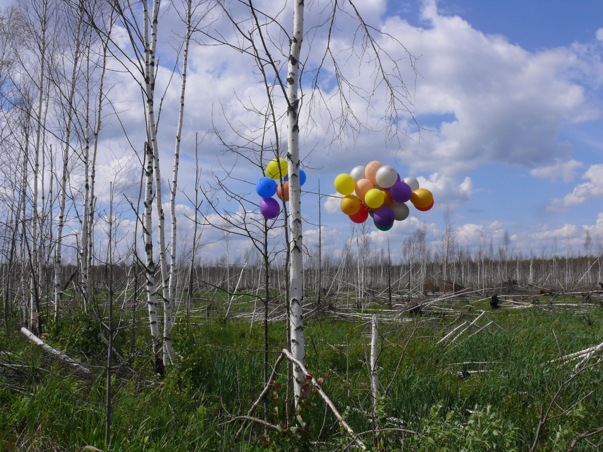 Дзержинск планирует отказаться от запуска воздушных шаров на праздниках ради безопасности животных