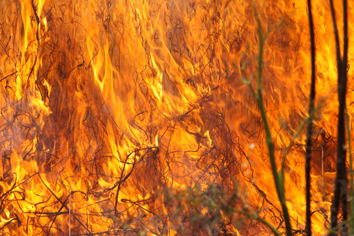 Свыше 40 пожаров сухой травы зарегистрировано в Нижегородской области за сутки