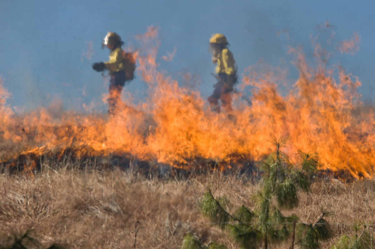 Около 60 загораний сухой травы зафиксировано в Нижегородской области с 1 по 5 мая