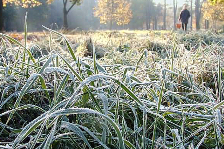 Резкое похолодание до +3 градусов ждет нижегородцев в ближайшие дни