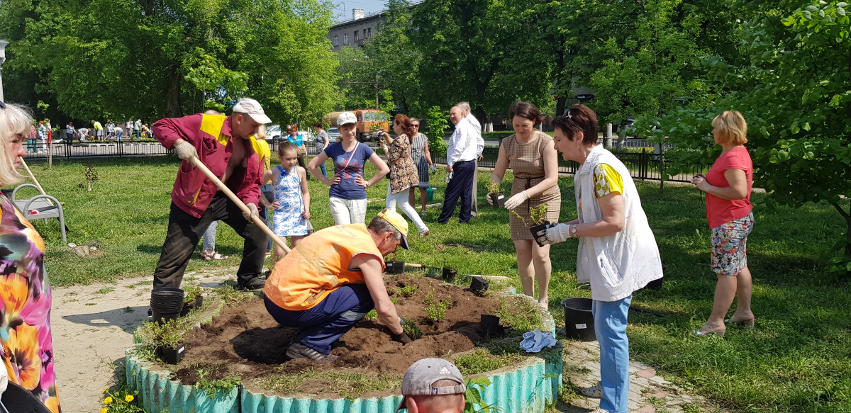 Около тысячи растений высадили нижегородцы в рамках проекта «Цветущий город»