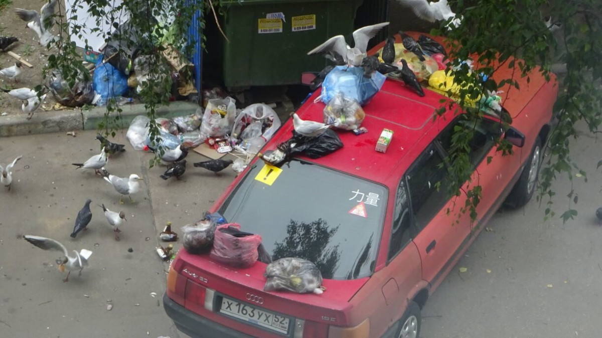 Завалили мусором: нижегородских автовладельцев наказали за неправильную парковку
