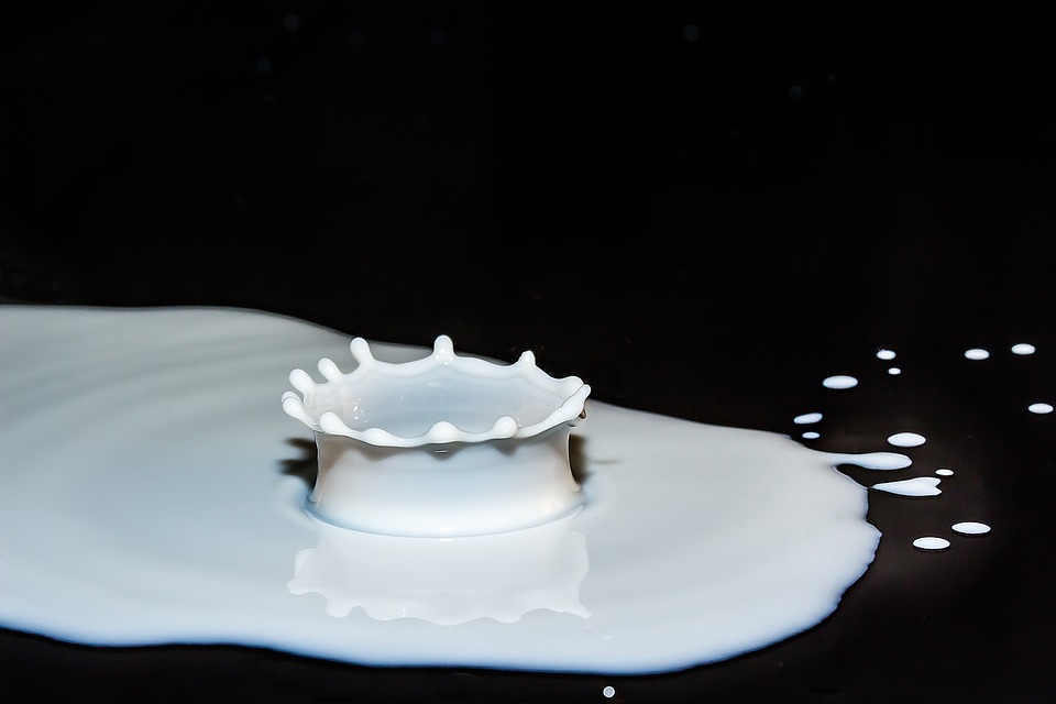 Кстовское предприятие пользовалось сухим молоком в производстве пастеризованного
