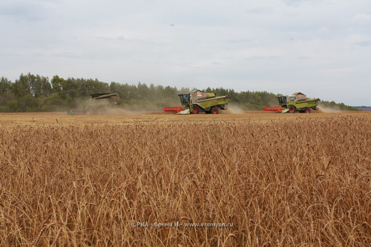 Нижегородские предприятия АПК убрали половину урожая