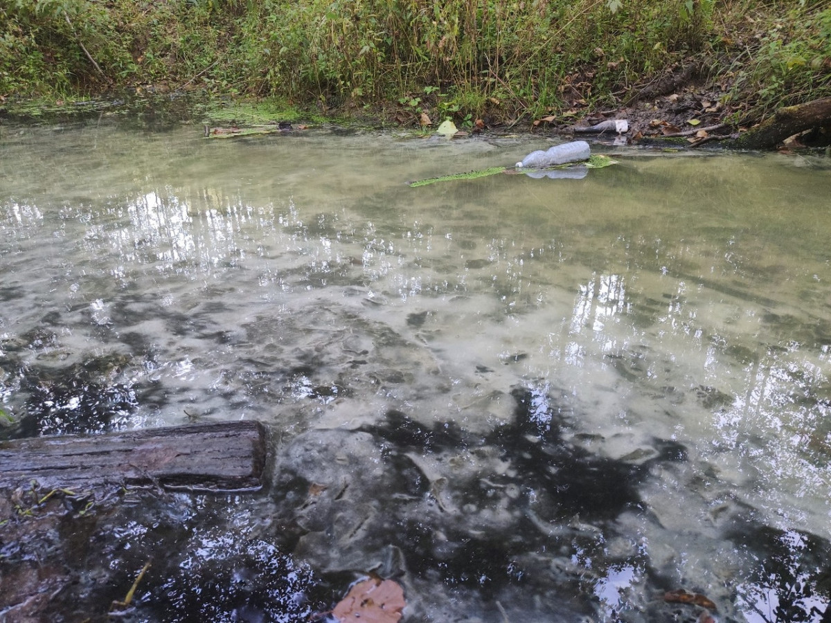 Источником загрязнения Васильевского ручья в Дзержинске мог стать несанкционированный сброс сточных вод от жилых домов