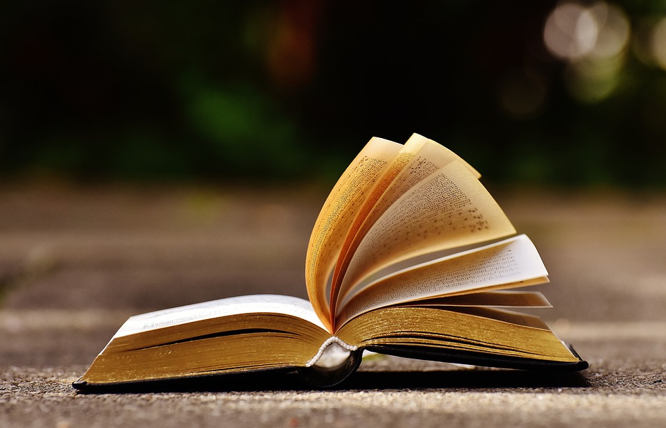 Нижегородцев приглашают к участи в акции «Подари книгу библиотеке» Нижегородцев приглашают к участи в акции «Подари книгу библиотеке»