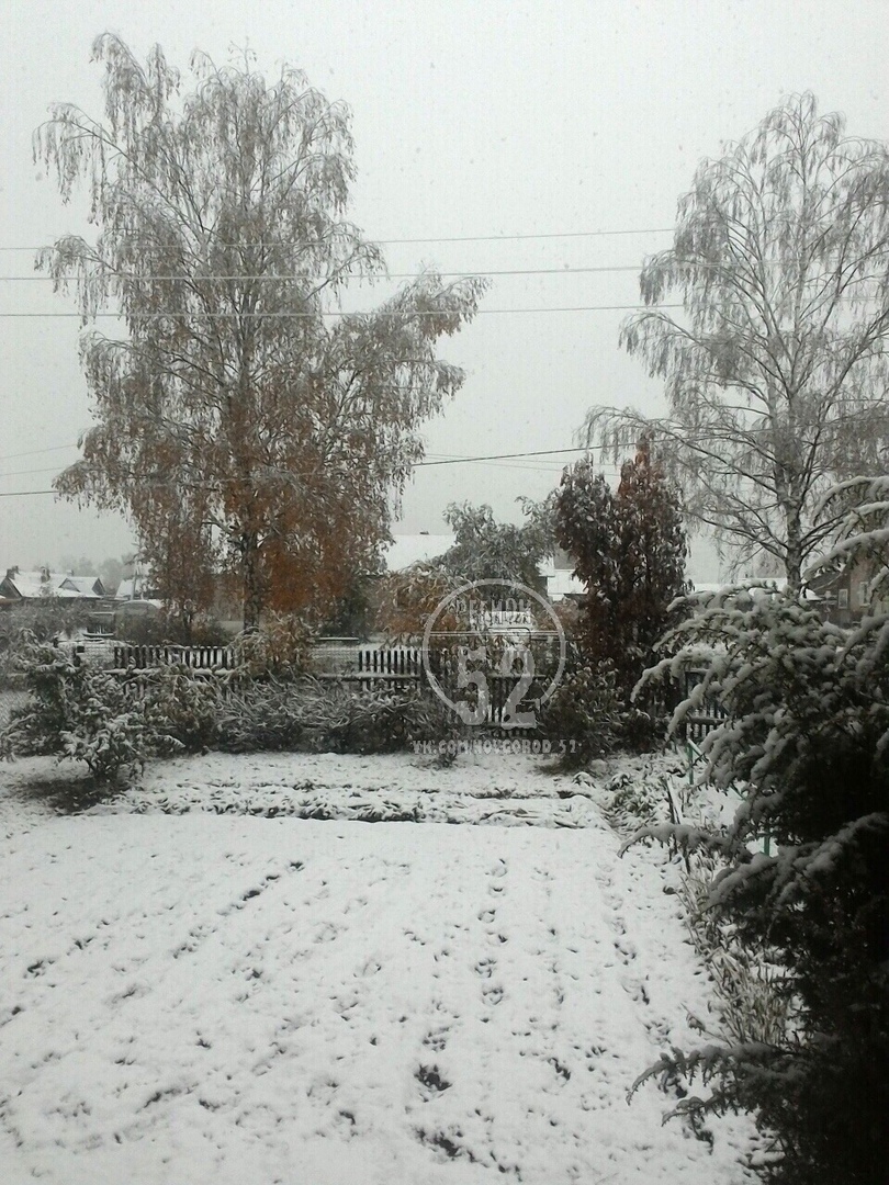 Сокольский и Городецкий районы завалило снегом
