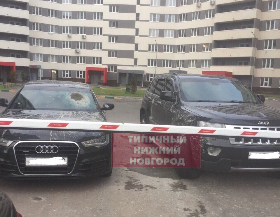«Народного мстителя», облившего иномарки цементом в Нижнем Новгороде, разыскивает полиция