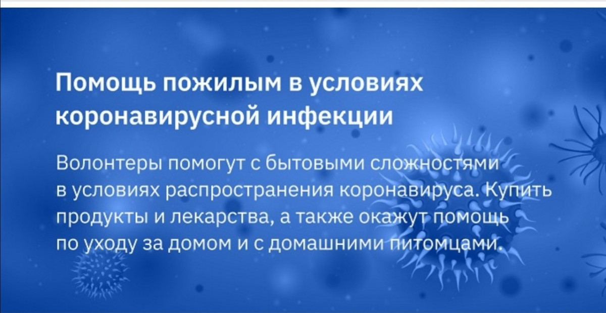 ОНФ в Нижегородской области открыл волонтерский штаб помощи пожилым людям