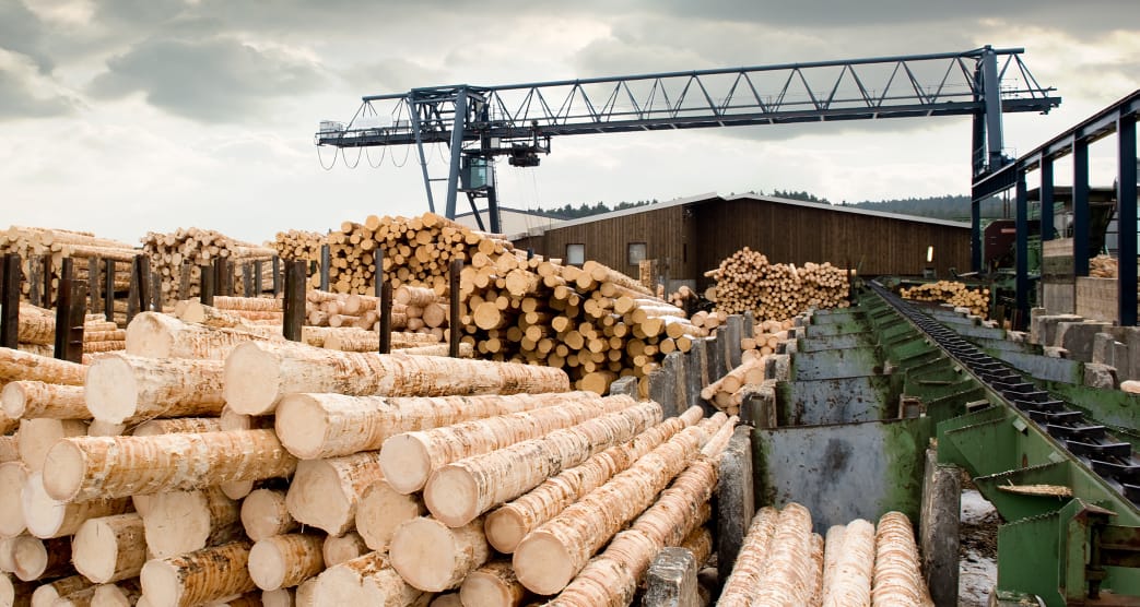 700 пунктов переработки древесины поставили на учет в Нижегородской области
