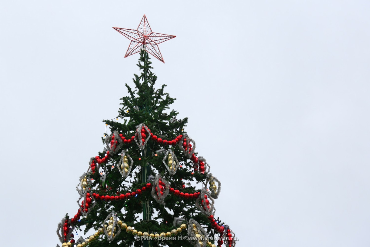 Новогодняя елка впервые пройдет на стадионе «Нижний Новгород»