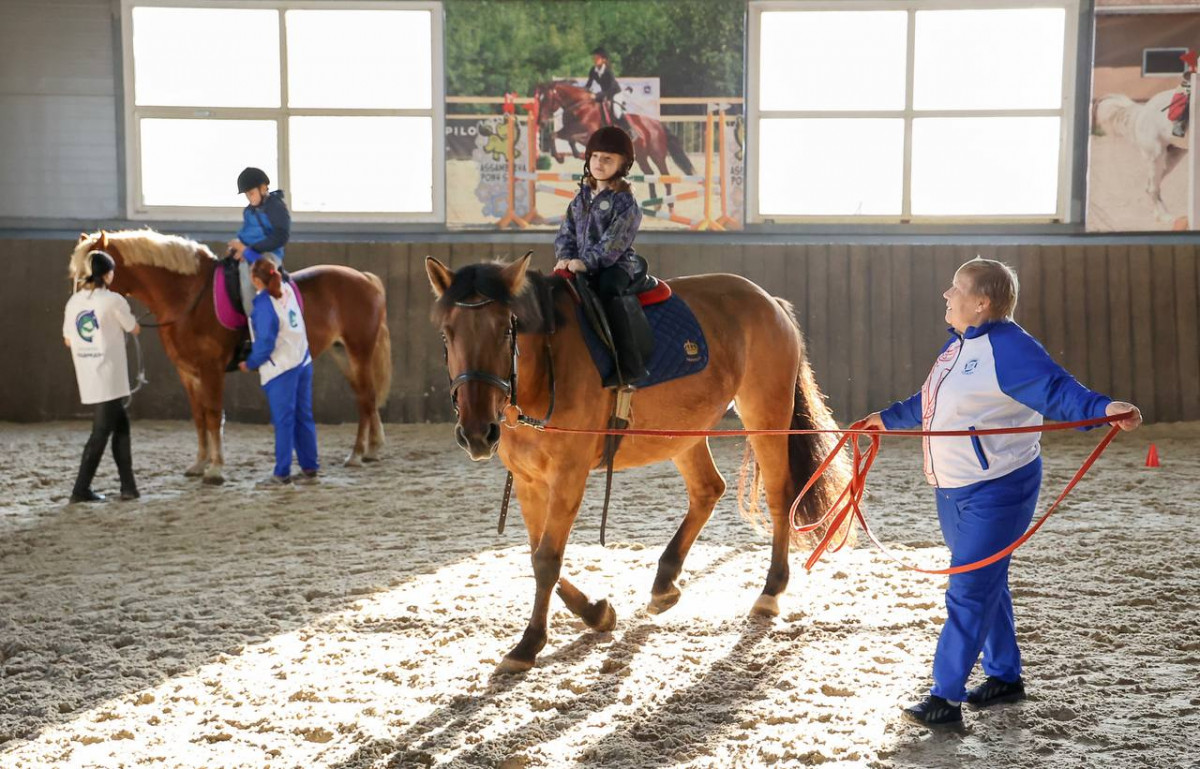 Еще шесть лошадей приобрели для нижегородского зооцентра «Надежда»