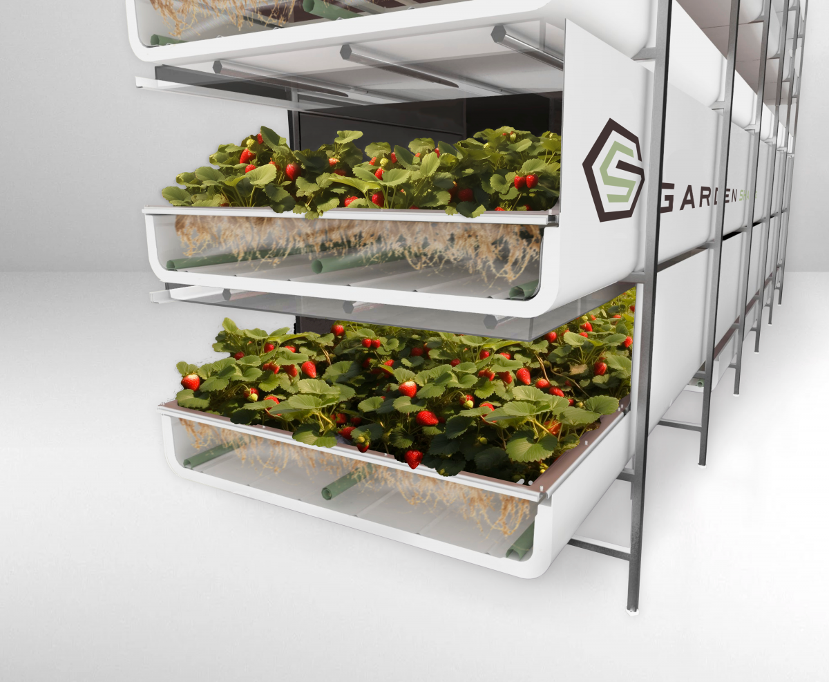 Нижегородцы разработали инновационную технологию выращивания ягод и овощей