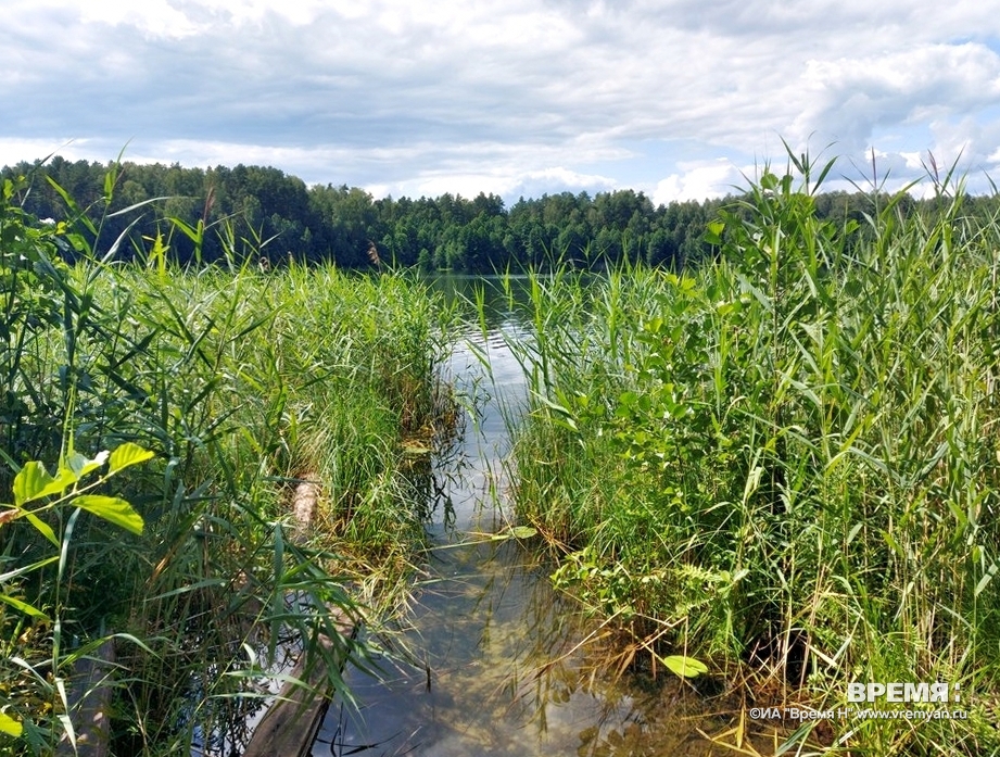 Областное министерство экологии проверило состояние Вадского озера