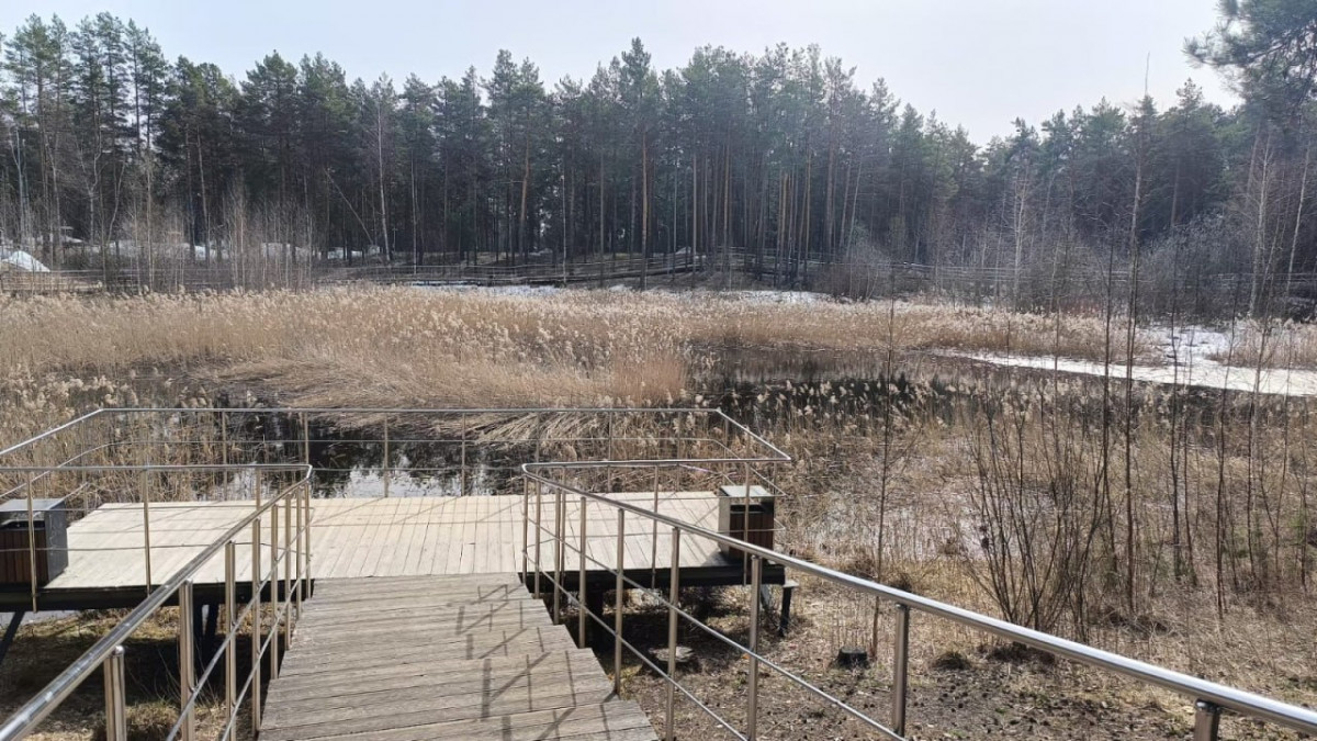 Работы по расчистке Утиного озера начинаются в Дзержинске