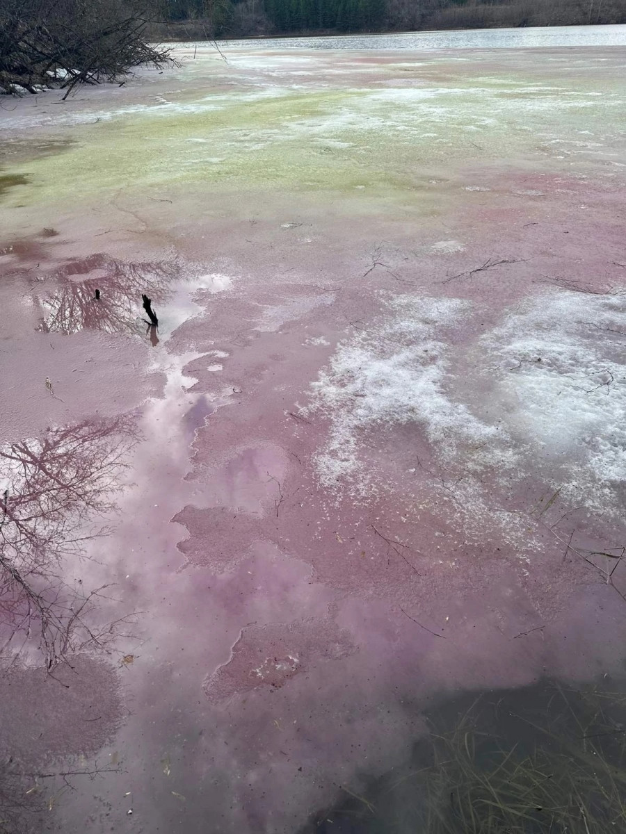 Разноцветный лед увидели жители Дзержинска в озере рядом с промзоной