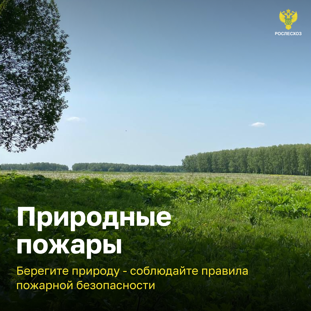 Первые случаи возгорания сухой травы и листвы зафиксированы в Нижнем Новгороде