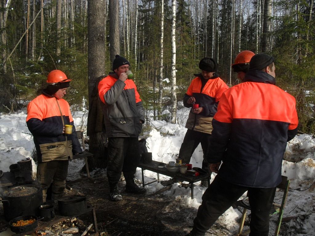 Осужденные в Нижегородской области трудятся на ферме и в лесу |  Информационное агентство «Время Н»