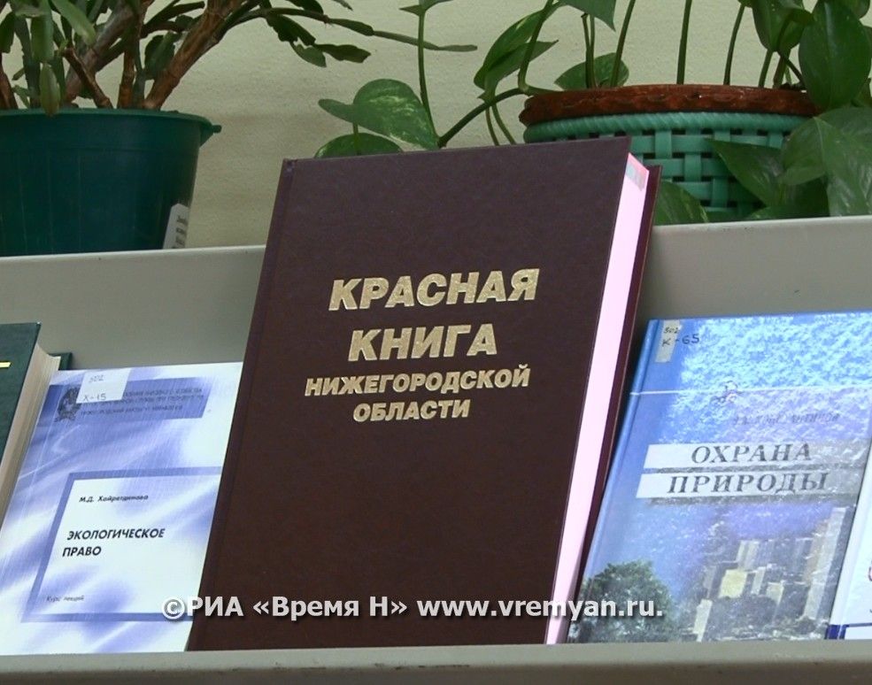 Красная книга нижегородской области проект