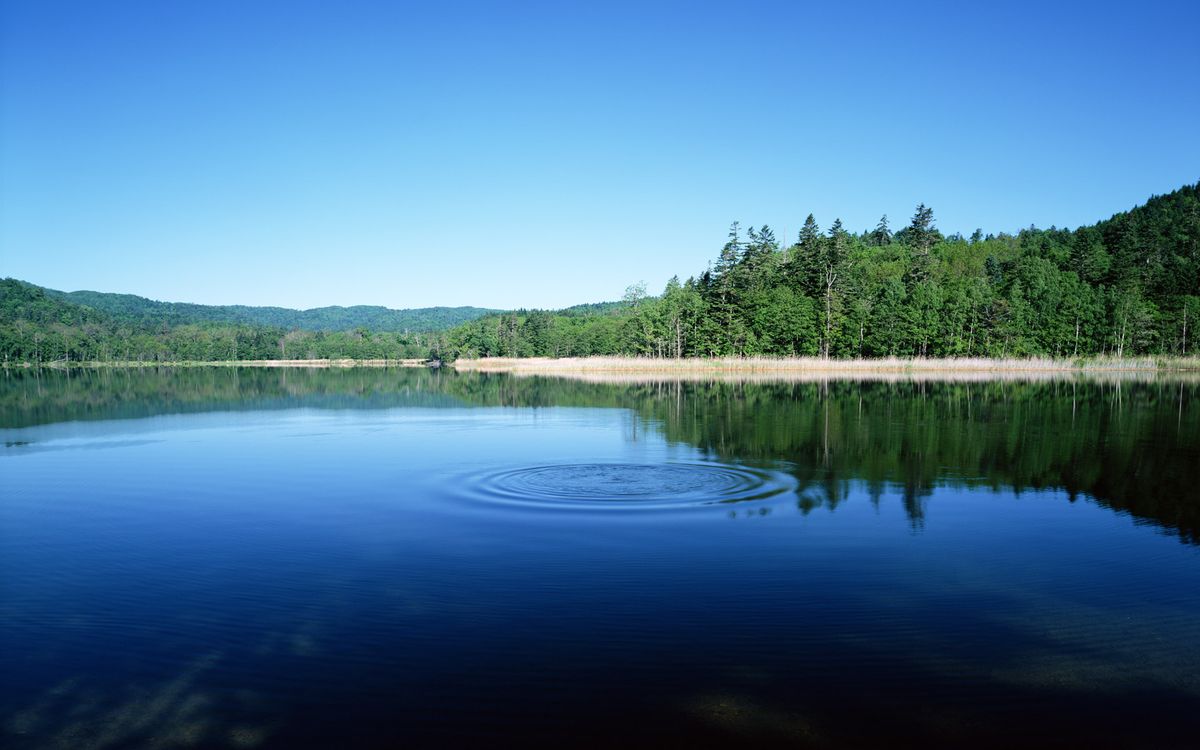 Круги на воде 2