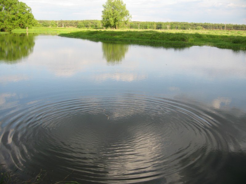 Круги на воде 1