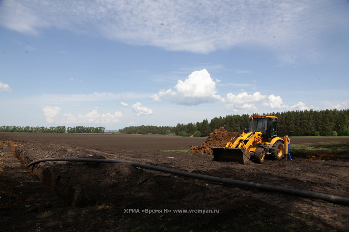 Нижегородский гектар. Освоение пустующих земель. Аграрий Борского района. Освоение пустующих земель. Фото. Простаивание пашен в Кировской области.