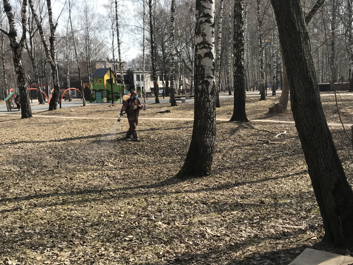 Парк им. Пушкина обработали от клещей в Советском районе