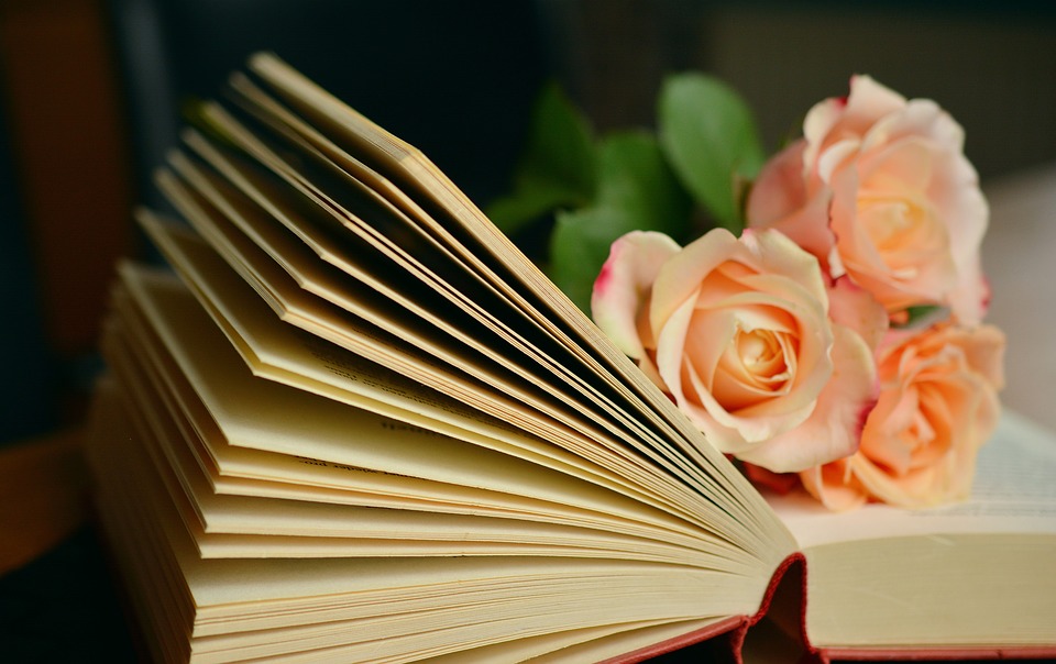Фотографировать книги в магазинах могут запретить