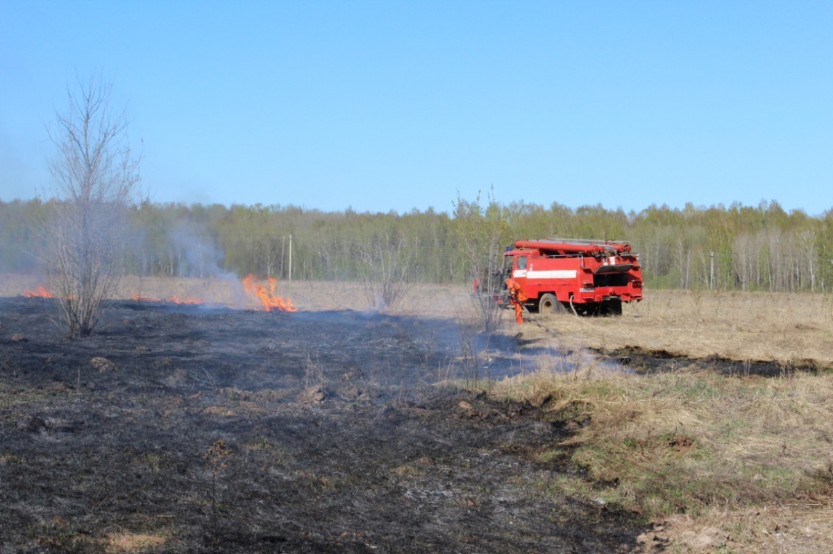 Пожароопасный сезон начинается в лесах Нижегородской области