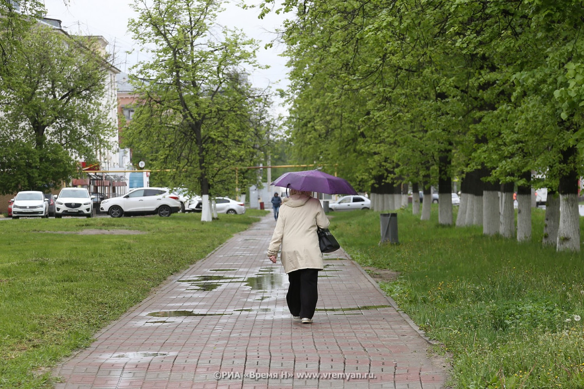 Дожди продлятся в Нижегородской области до начала следующей недели