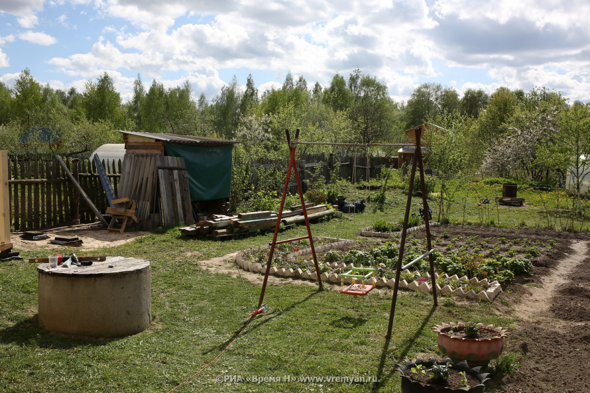 В Нижнем Новгороде сохранят только треть садоводческих товариществ