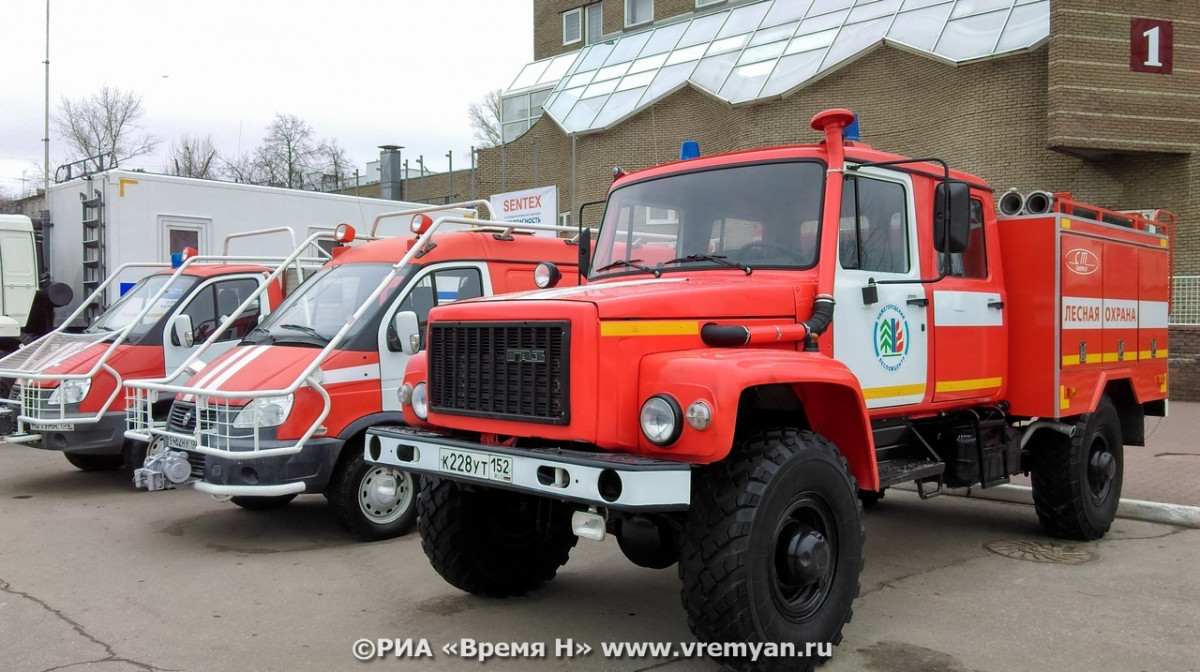«Жёлтый» уровень пожарной опасности установился в нижегородских лесах