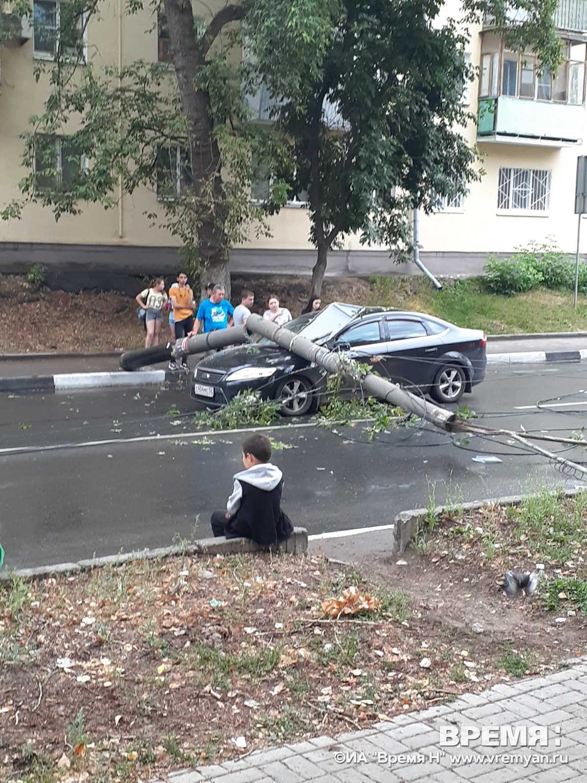 Аварийный тополь