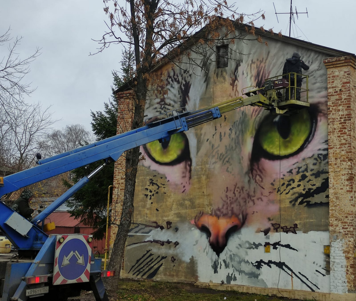 Анималистическое граффити с котом появится в Нижнем Новгороде