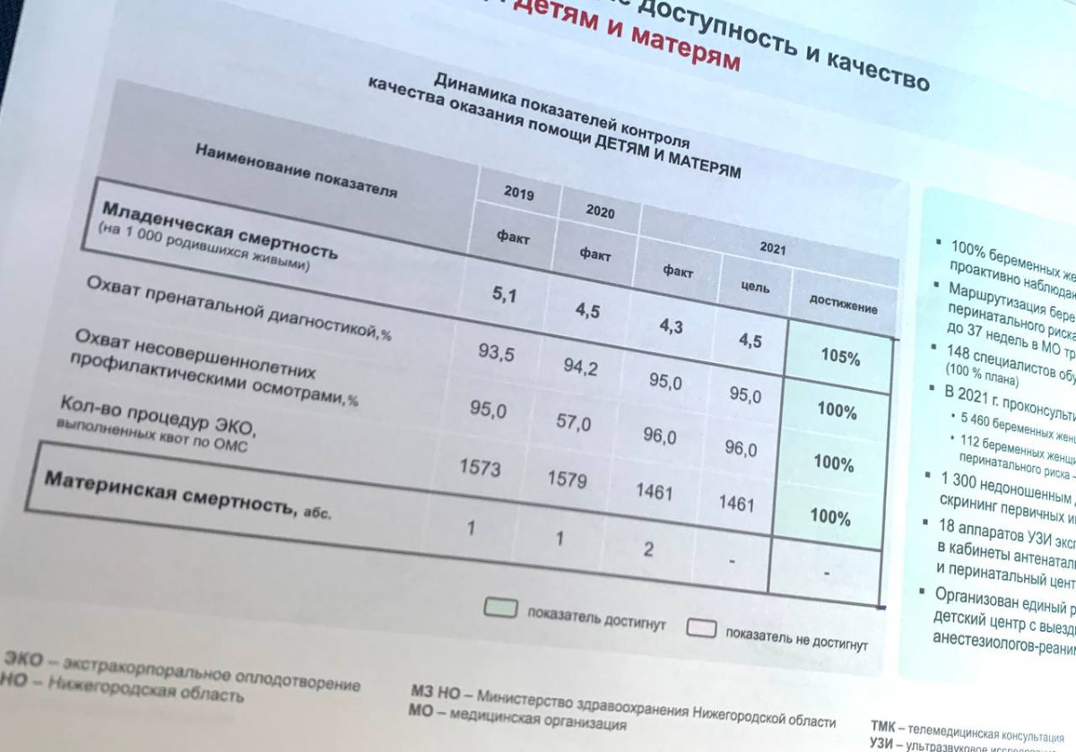 Мелик-Гусейнов: материнство и детство — приоритет здравоохранения Нижегородской области