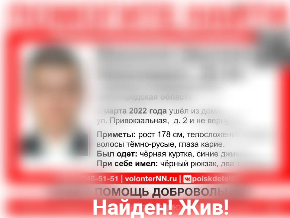 Пропавший в Нижегородской области Дмитрий Вершинин найден живым