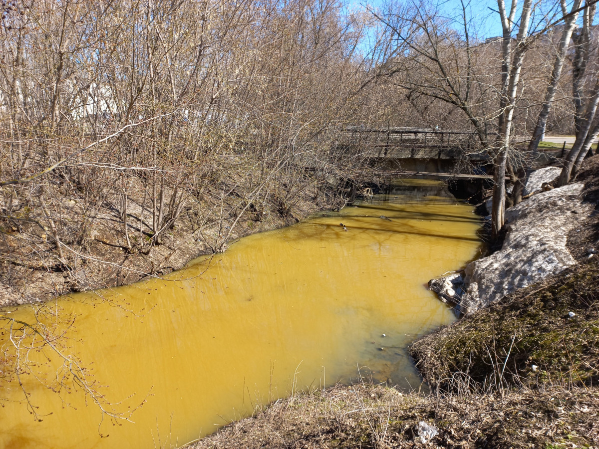 Нижегородское минэкологии проведет проверку из-за желтой воды в Борзовке