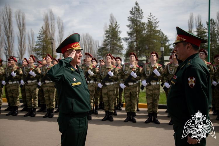 Пять нижегородских военнослужащих, участвовавших в спецоперации, получили госнаграды
