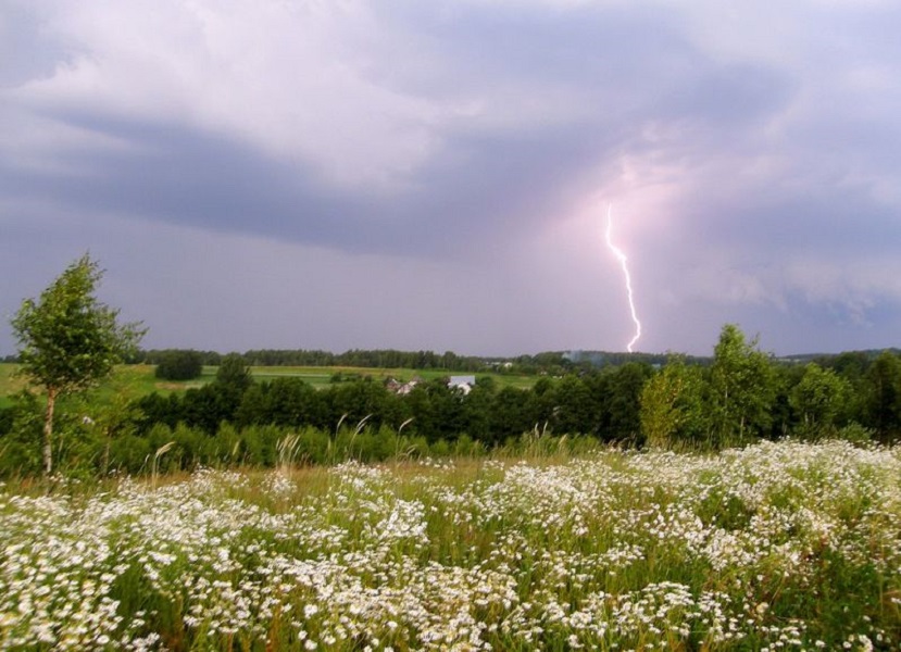 Грозы и сильный ветер ожидаются в Нижегородской области 27 июня