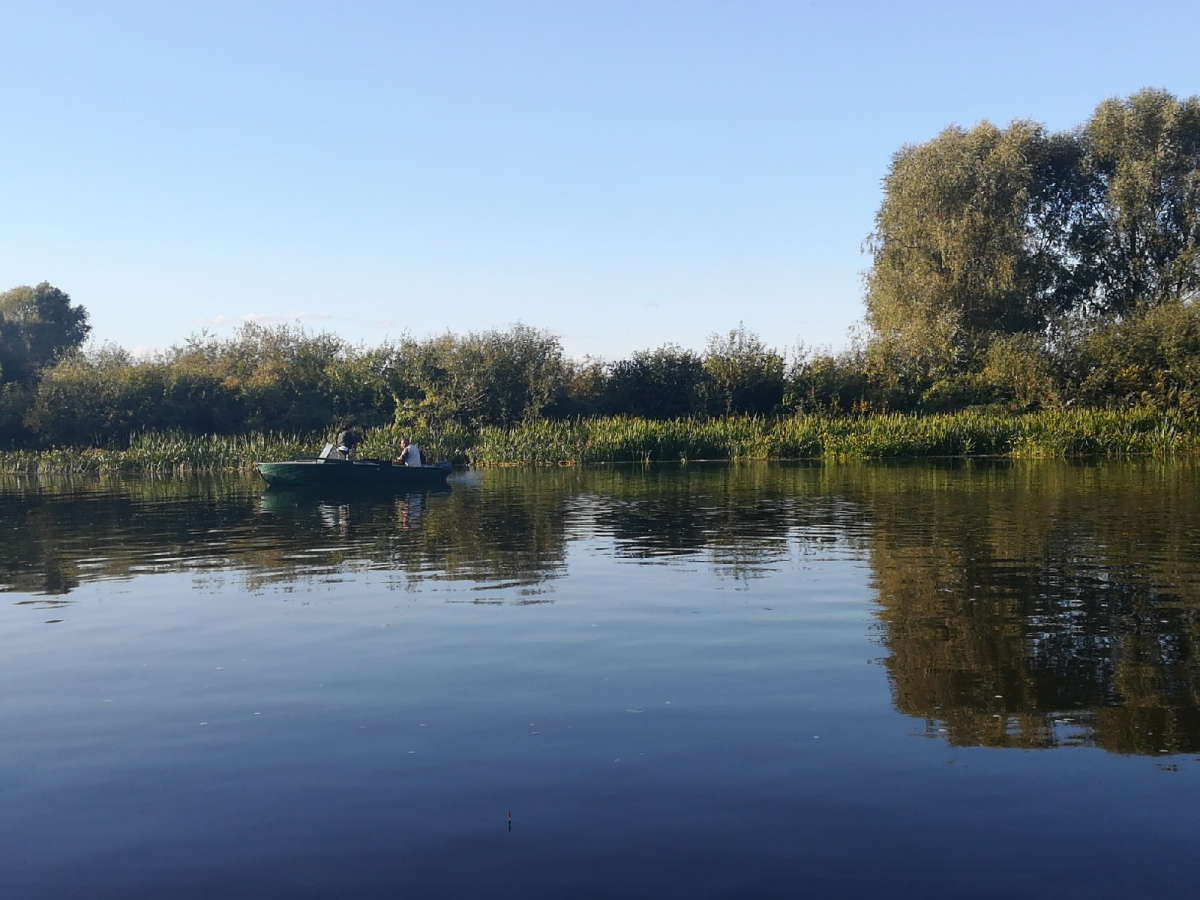 Погода воды в волге